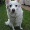 Photo de Cloe