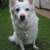 Photo de profil de Cloe