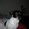 Photo de Minnie
