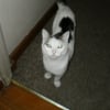 Photo de Lucky