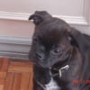 Photo de Lucky