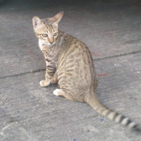 Photo de profil de Mimi