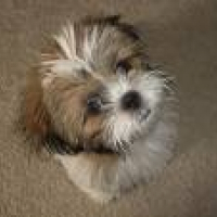 Photo de profil de Nokia