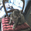 Photo de Filou