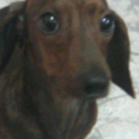 Photo de profil de Chai ..