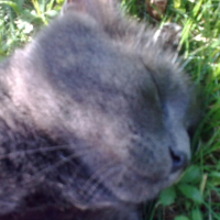 Photo de profil de Mala