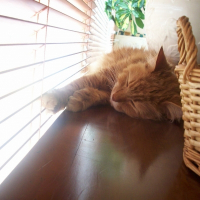 Photo de profil de Pilou
