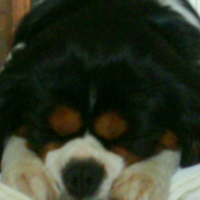 Photo de profil de Bonnie