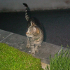 Photo de Sacha