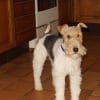 Photo de Buster