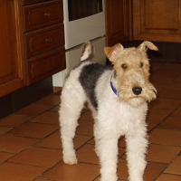 Photo de profil de Buster