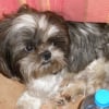 Photo de Cado