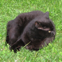 Photo de profil de Titou