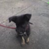 Photo de Cinnamon