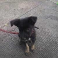 Photo de profil de Cinnamon