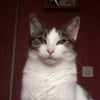 Photo de Mimie