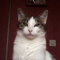 Photo de profil de Mimie