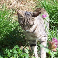 Photo de profil de Kiki la tueuse