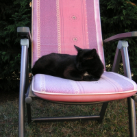 Photo de profil de Mina