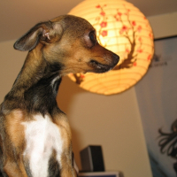 Photo de profil de Sally