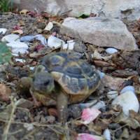 Photo de profil de Adsl