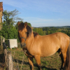 Photo de Spirit
