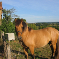 Photo de profil de Spirit