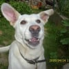 Photo de Polene