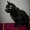 Photo de Mimine