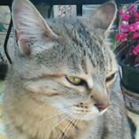 Photo de profil de Fanny