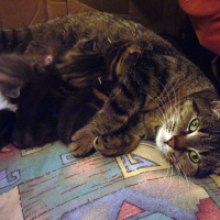 Photo de profil de Lilou