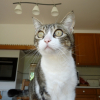 Photo de Melba