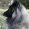 Photo de Chaman