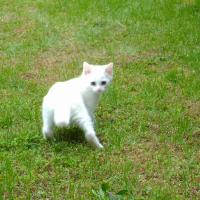 Photo de profil de Coco