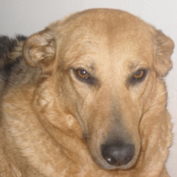 Photo de profil de Nicky