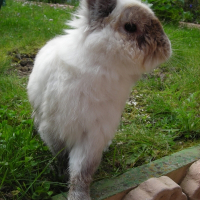 Photo de profil de Casse-grain