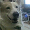 Photo de Chubbina