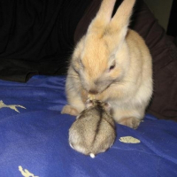 Photo de profil de Taupinusse & obi-wan