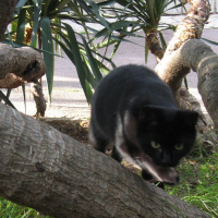 Photo de profil de Minette
