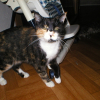 Photo de Mimine 