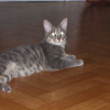 Photo de Couillue 