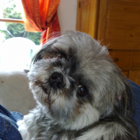 Photo de profil de Chloé