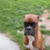 Photo de Clovis