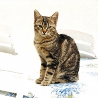 Photo de profil de Titine