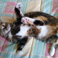 Photo de profil de Bonny