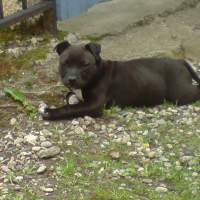 Photo de profil de Edenne