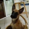 Photo de Djin