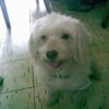 Photo de Minnie
