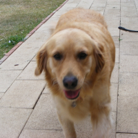 Photo de profil de Bella