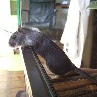 Photo de profil de Nam-nam
